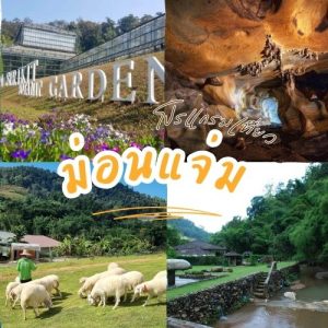 ม่อนแจ่ม